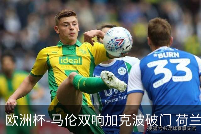 欧洲杯-马伦双响加克波破门 荷兰3-0罗马尼亚